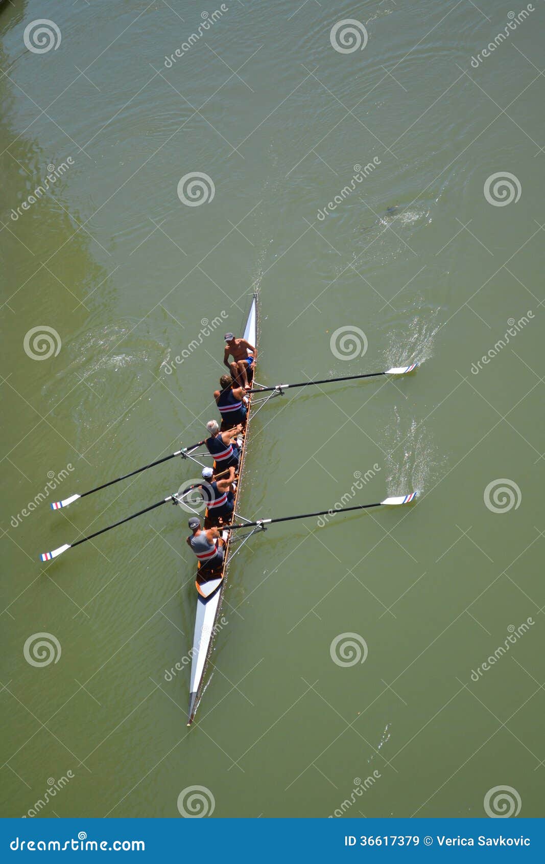 Rowing team editorial stock image. Image of people, sport 36617379