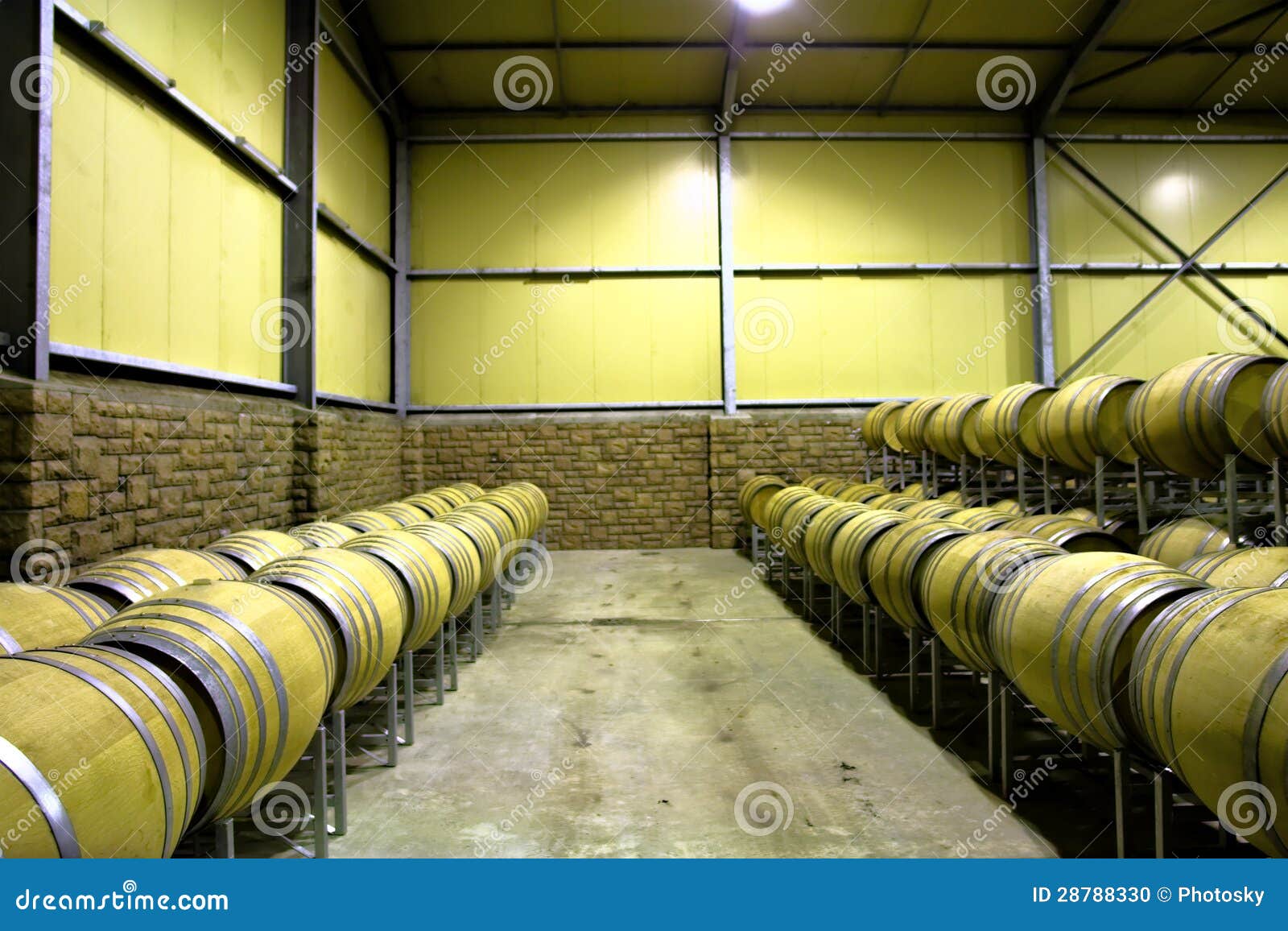 Rows of Barrels in Wine Storage Room Stock Photo Image of perspective
