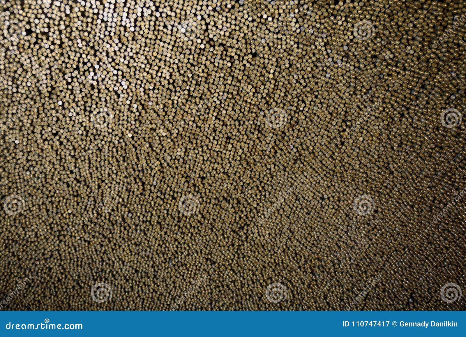 Bullet Shell Casing Bottom Stock Photos - Free & Royalty-Free Stock Photos  from Dreamstime