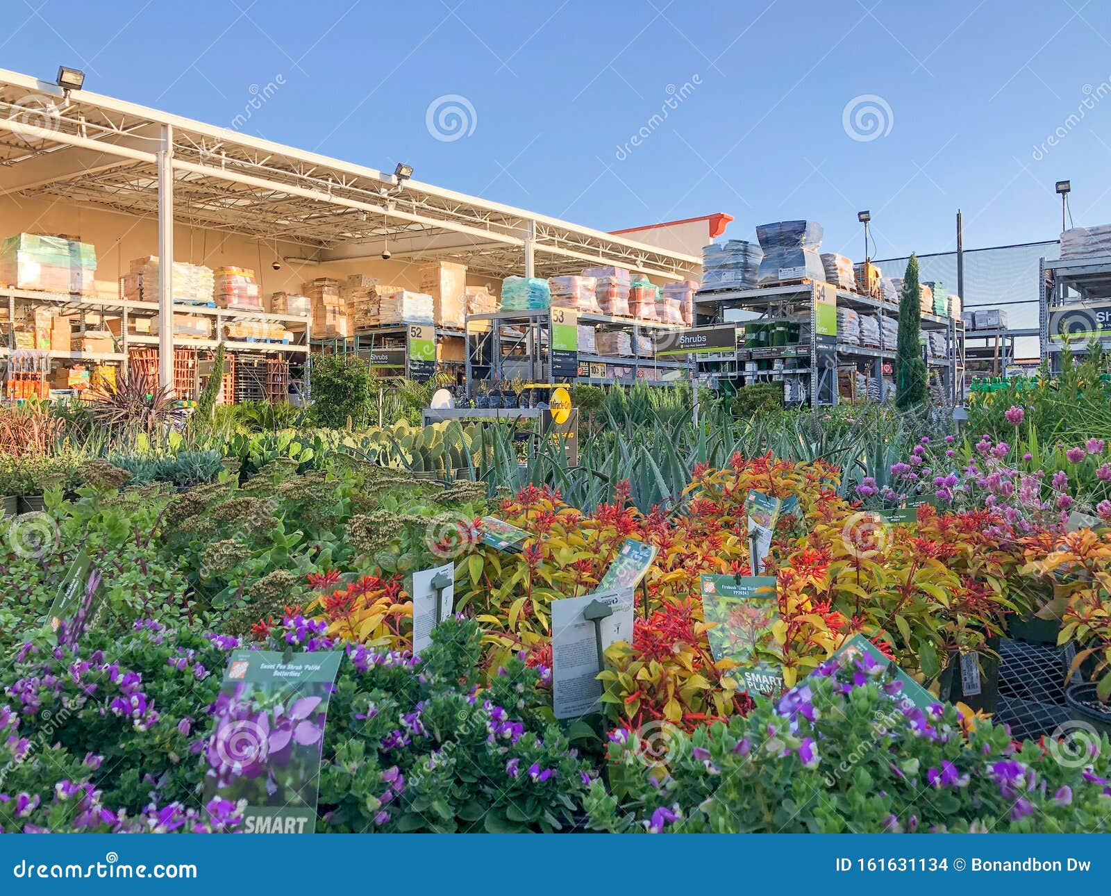 Colorful Flowers And Plants For Sale At Nursery Editorial Stock Image Image Of Floral Cultivation
