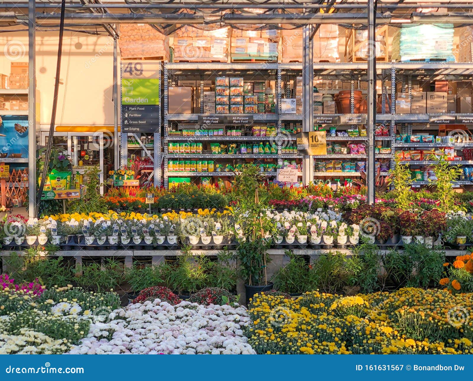 Colorful Flowers And Plants For Sale At Nursery Editorial Photography Image Of Arrangement Customer