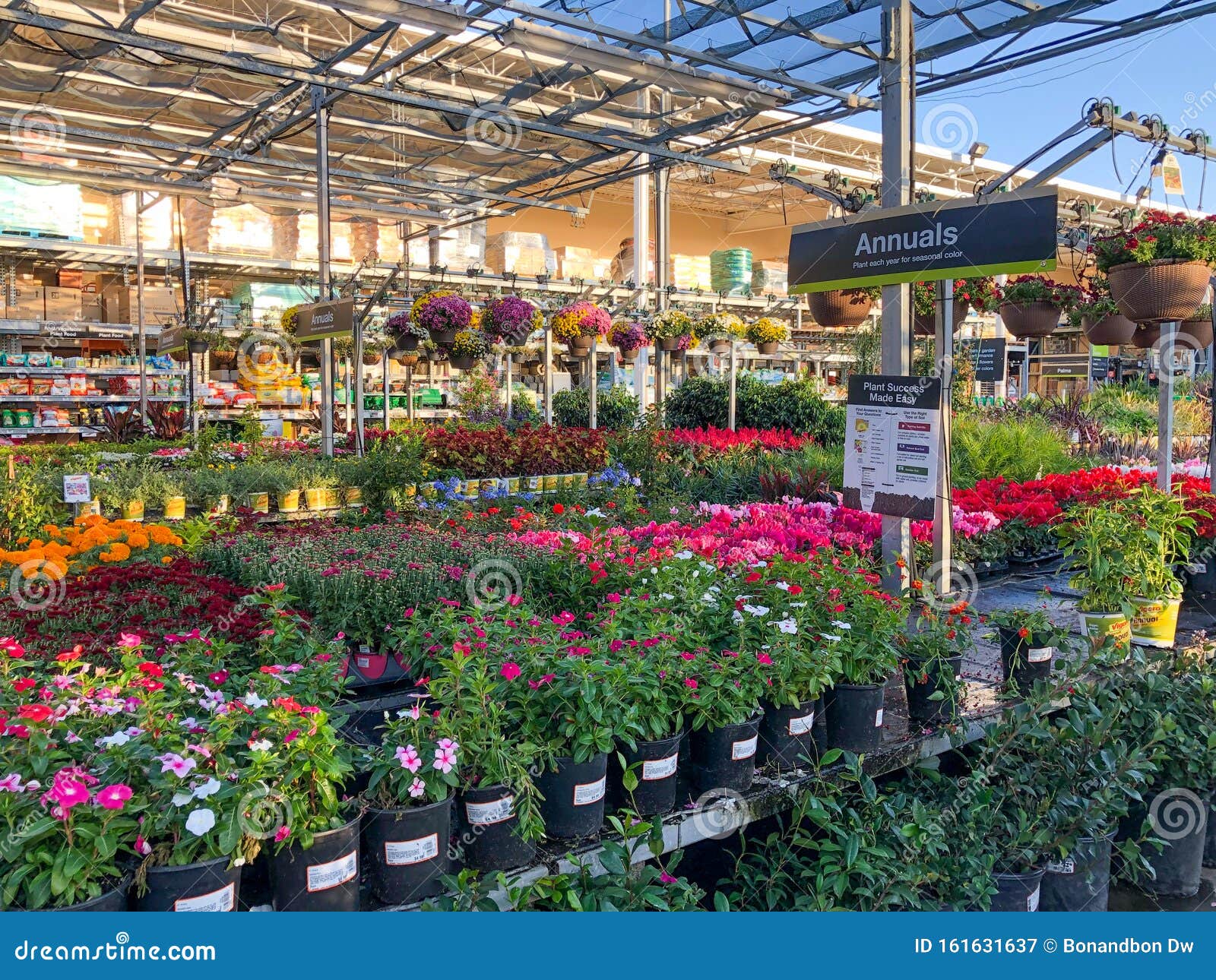 Colorful Flowers And Plants For Sale At Nursery Editorial Photography Image Of Choosing Center