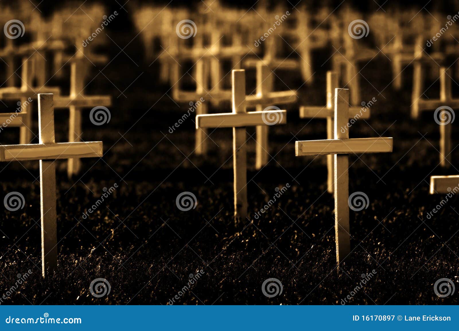 rows of crosses