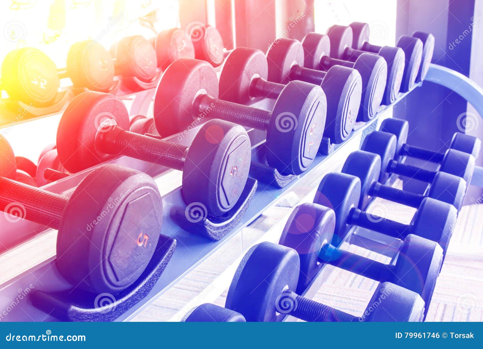 Rows of dumbbells stock photo. Image of healthy, equipment 79961746