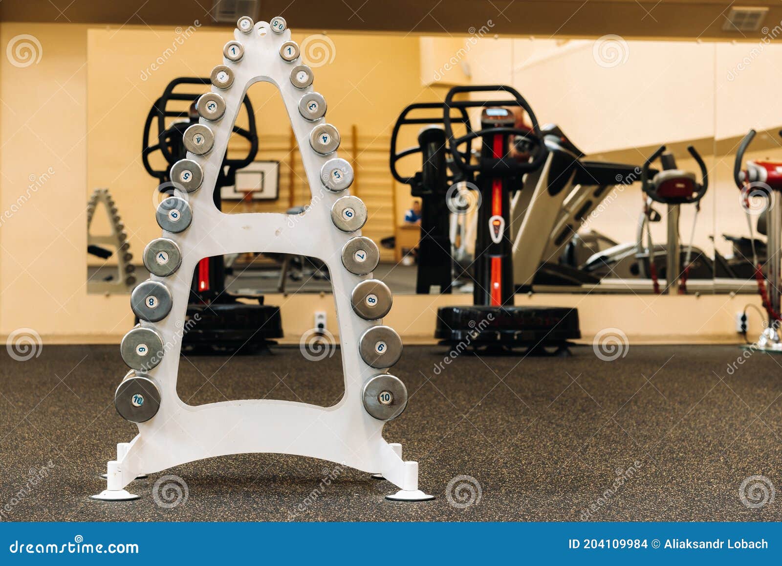 Rows of Dumbbells in the Gym with High Contrast Stacked Christmas Tree