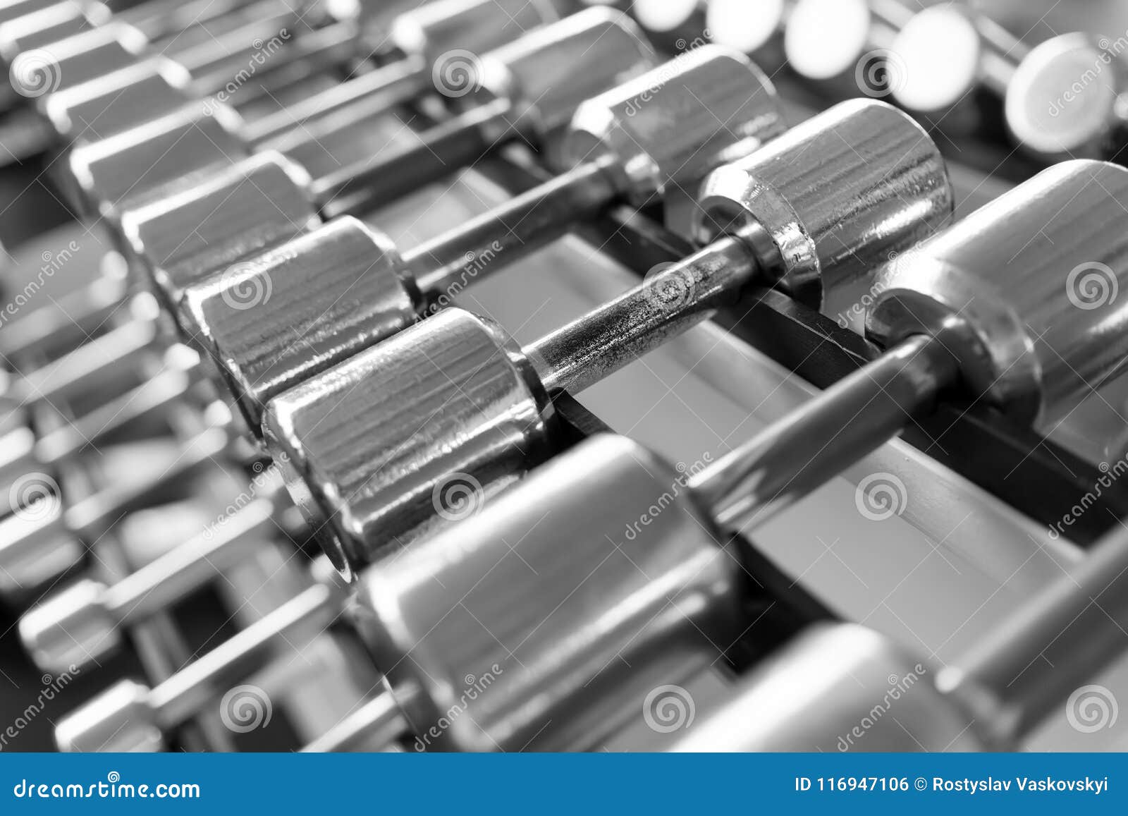 Rows of Dumbbells in the Gym Stock Photo Image of lifestyle, firm
