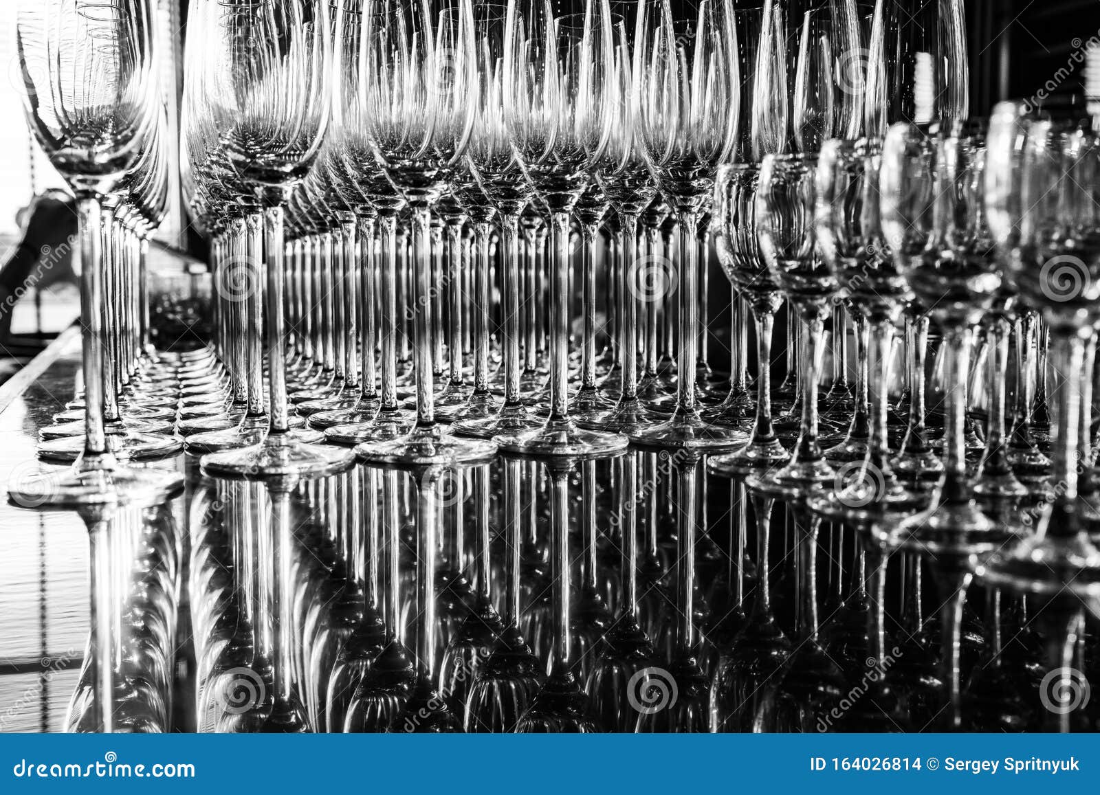 Rows of Empty Champagne Glasses, Black and White Stock Photo Image of