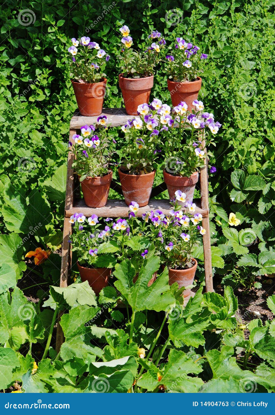 Rows of Flower Filled Pots stock image. Image of foliage 14904763