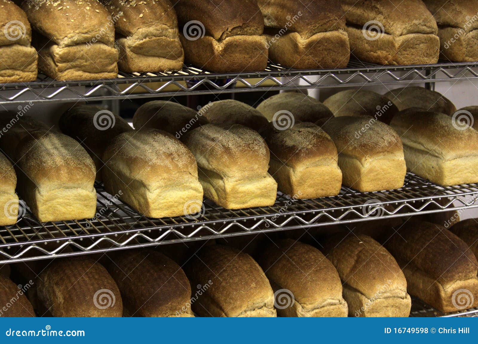 Rows of Freshly Baked Bread Stock Photo Image of shelves, loaf 16749598