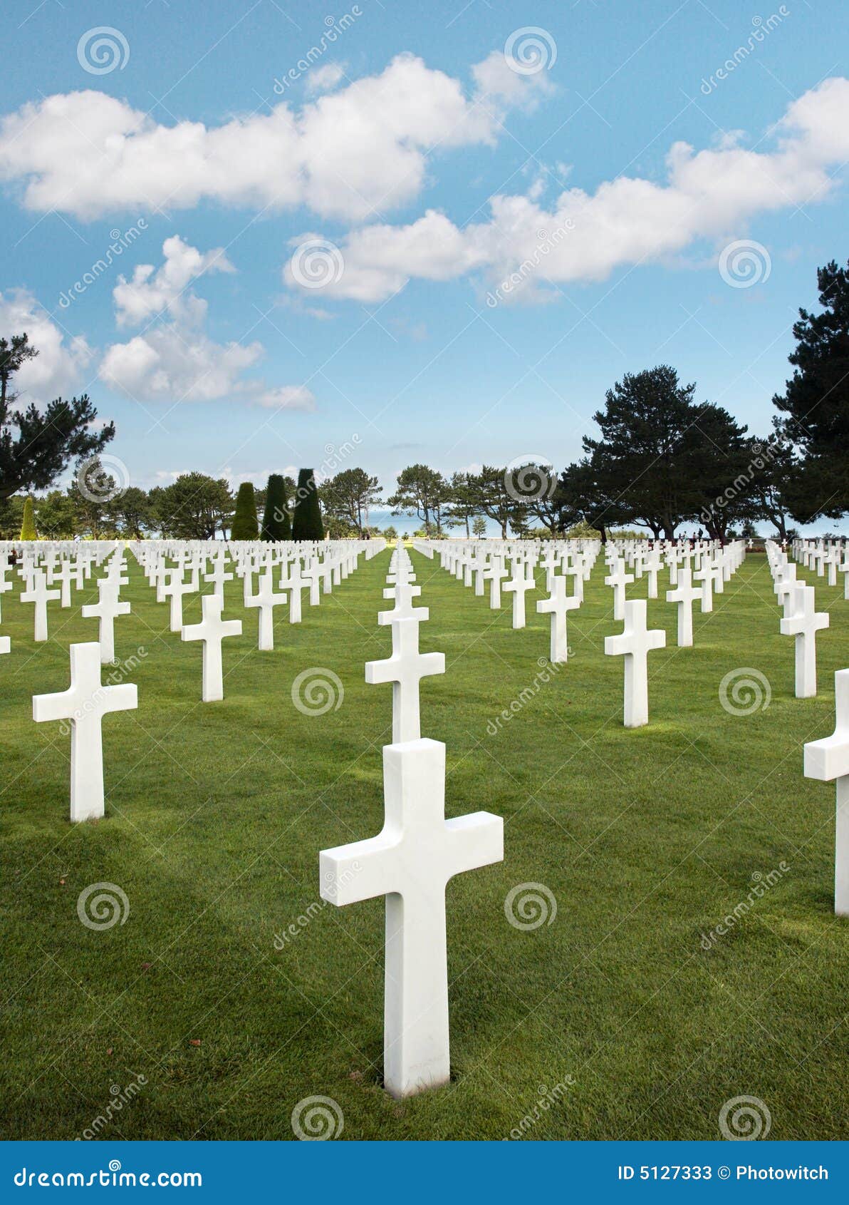 rows of graves