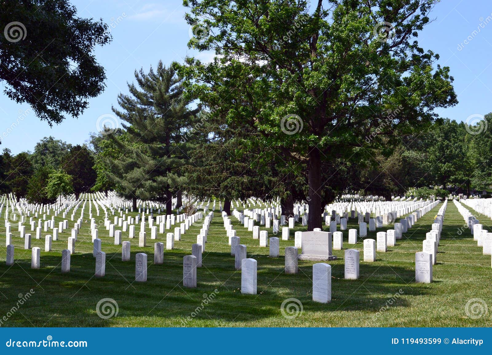 rows of graves at arlington national cemetery