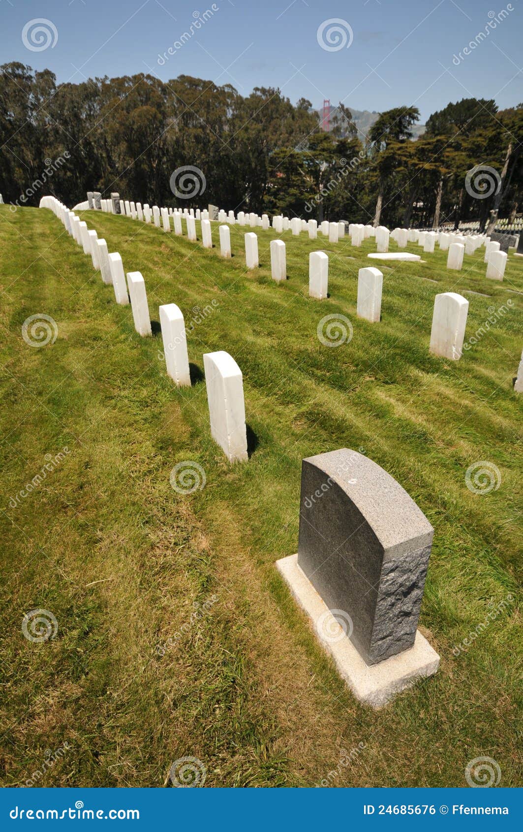 Rows of Headstones in a Cemetery Stock Photo Image of marble, death
