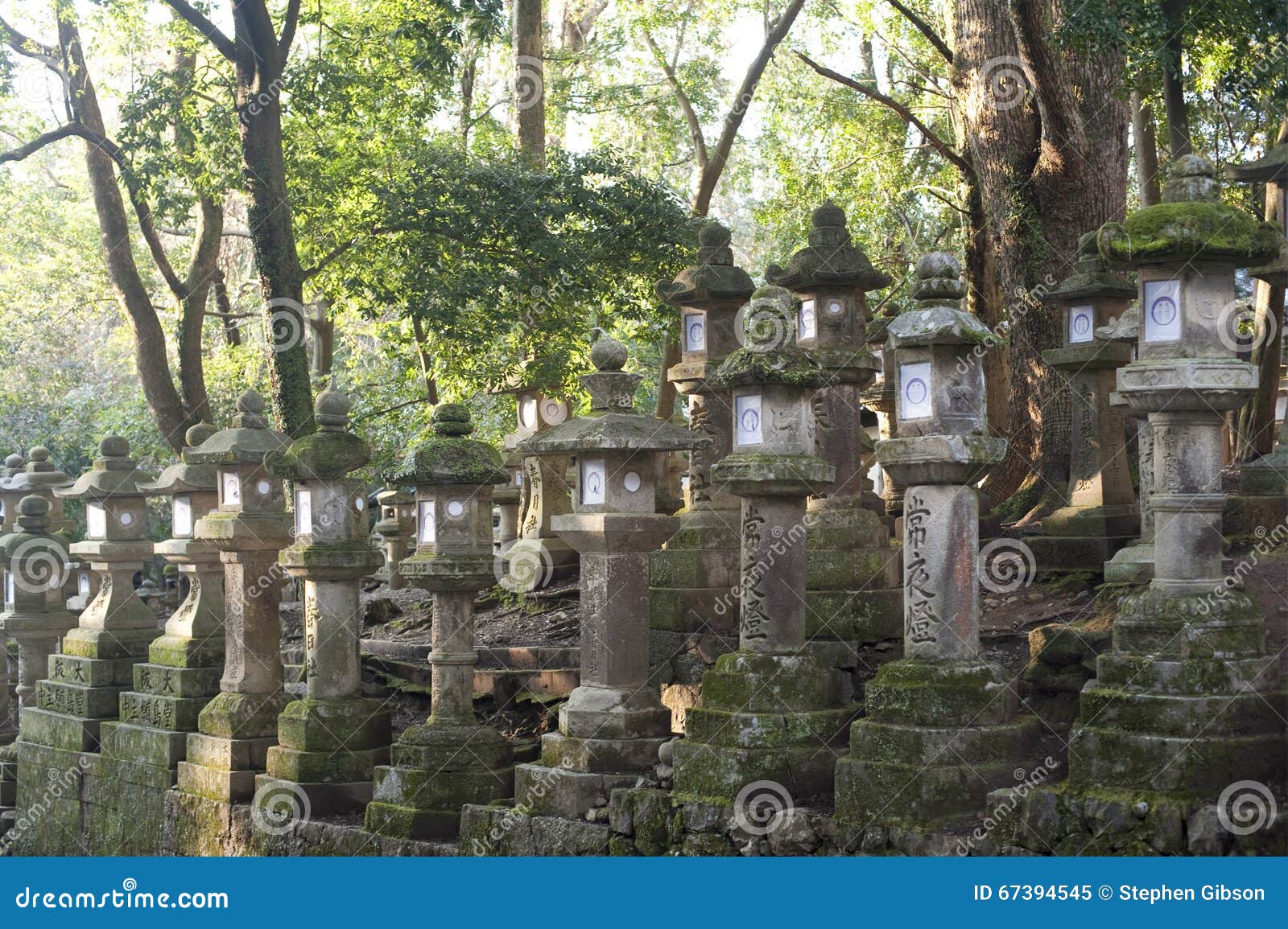 rows of kasuga taisha lanterns