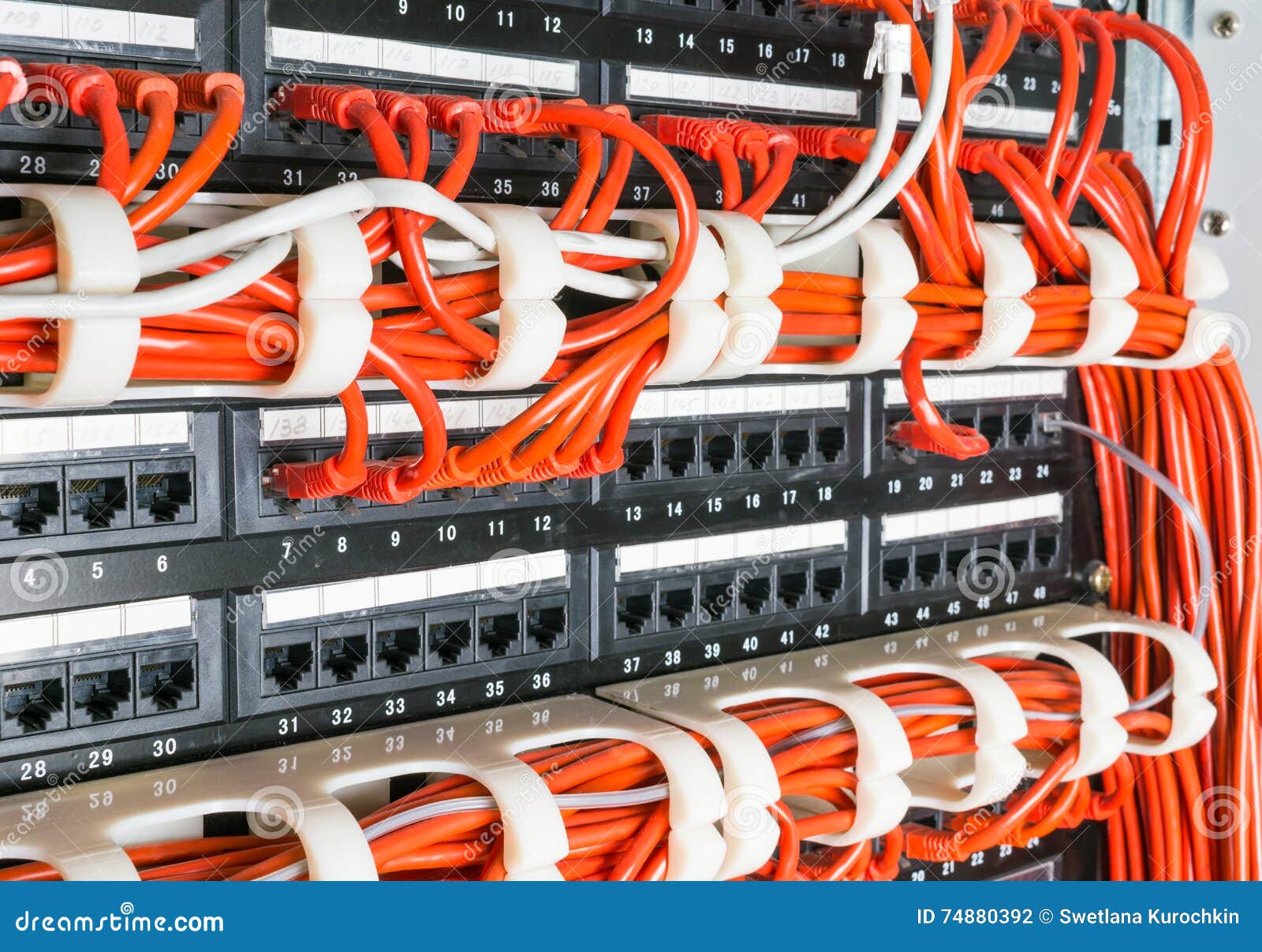 Rows of Network Cables Connected To Router and Switch Hub Stock Photo