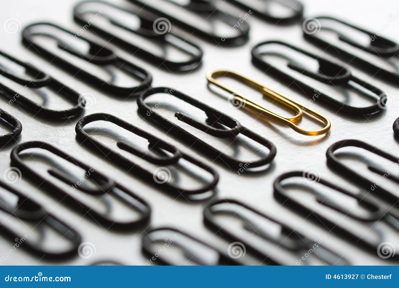 rows paper office clips