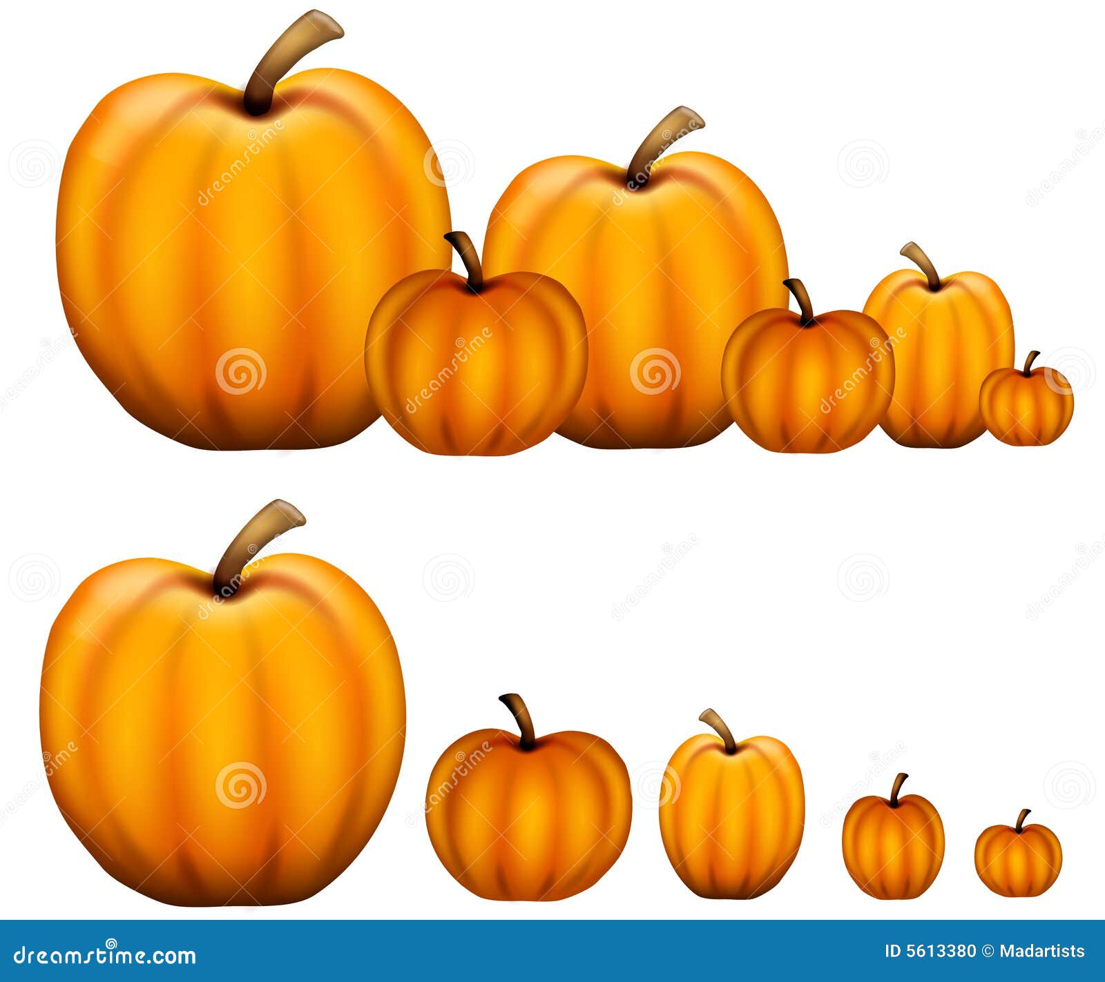 rows of pumpkins