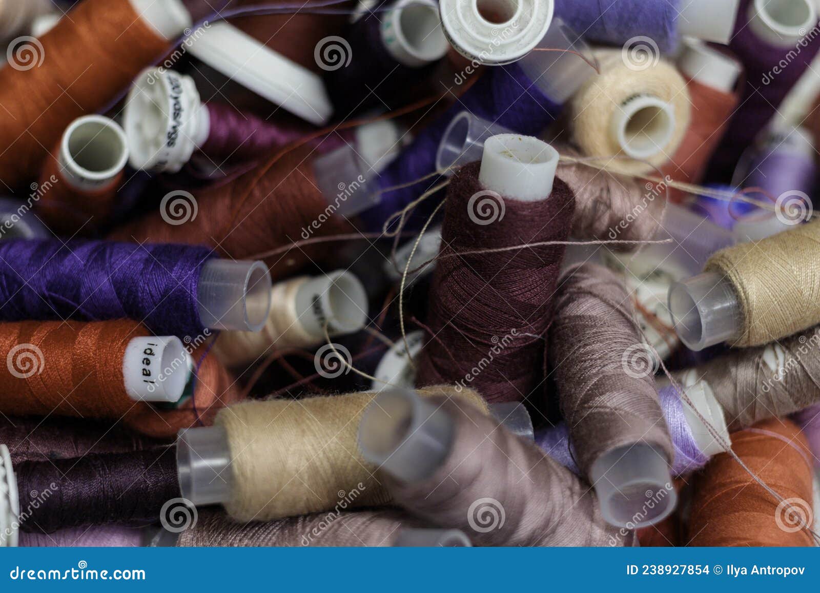 Rows of Sewing Threads of Various Colors Stock Photo Image of needlework, colorful 238927854