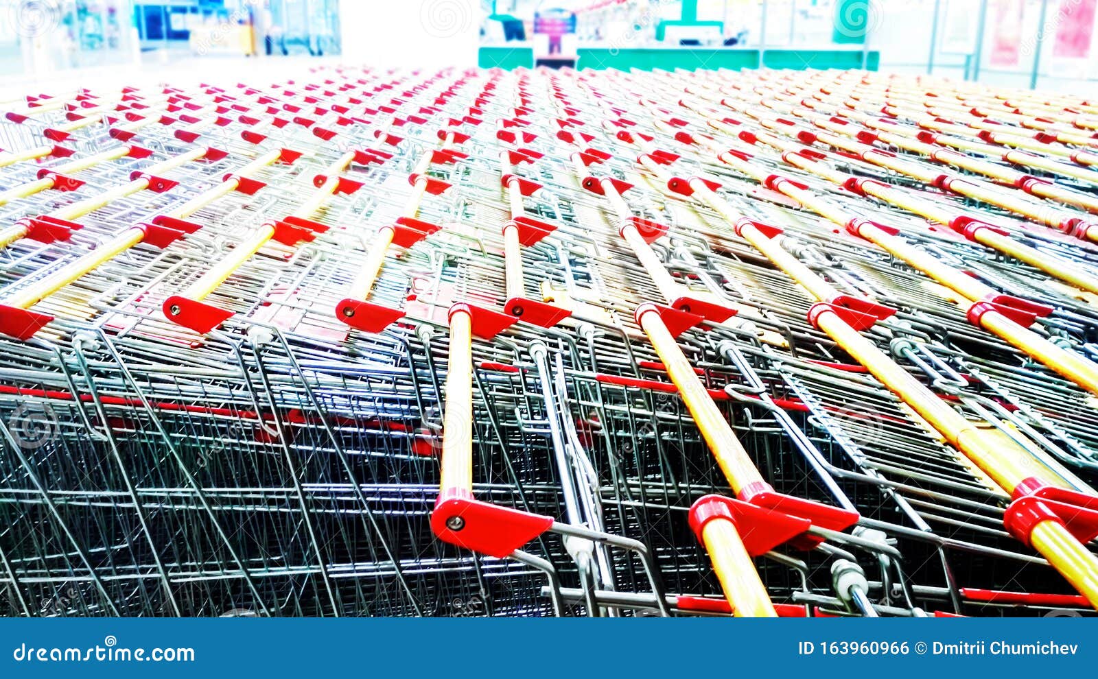 rows of shopping carts in the shopping hall of the supermarket