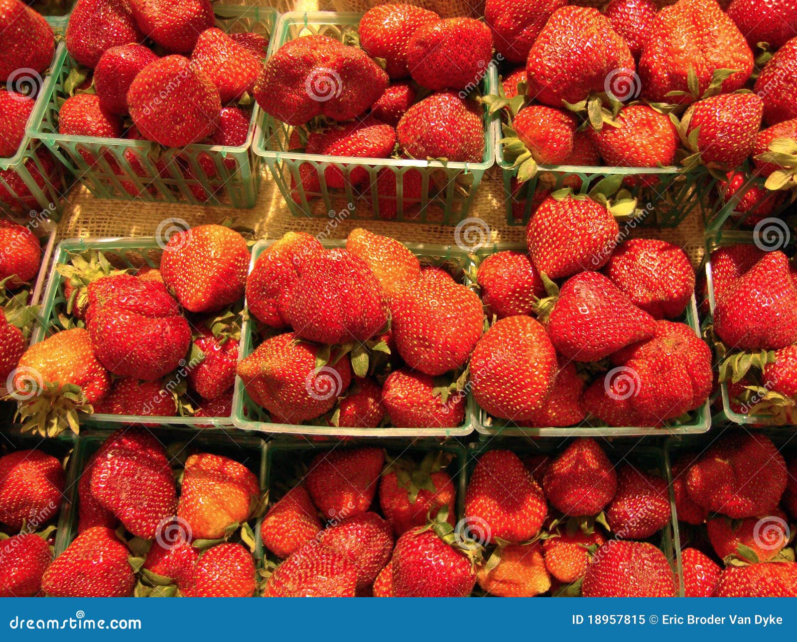 Rows of Strawberries in Plastic Baskets on Display Stock Image Image