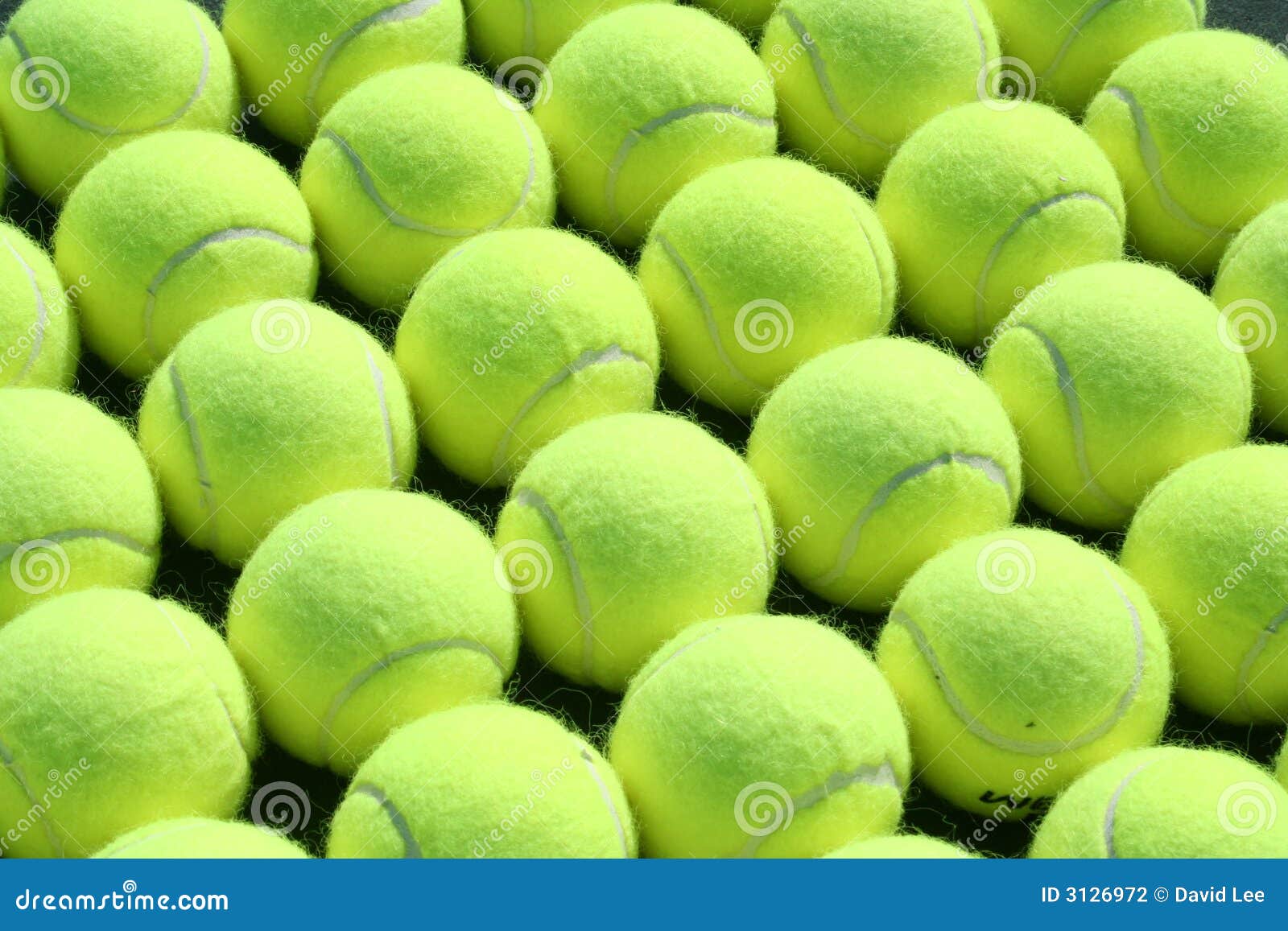 Rows of tennis balls stock photo. Image of entertainment 3126972