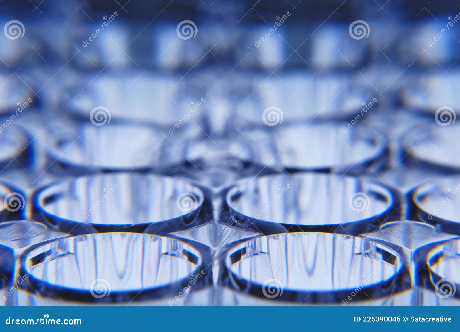 Rows of Tube Cells in Plastic Container Stock Photo Image of