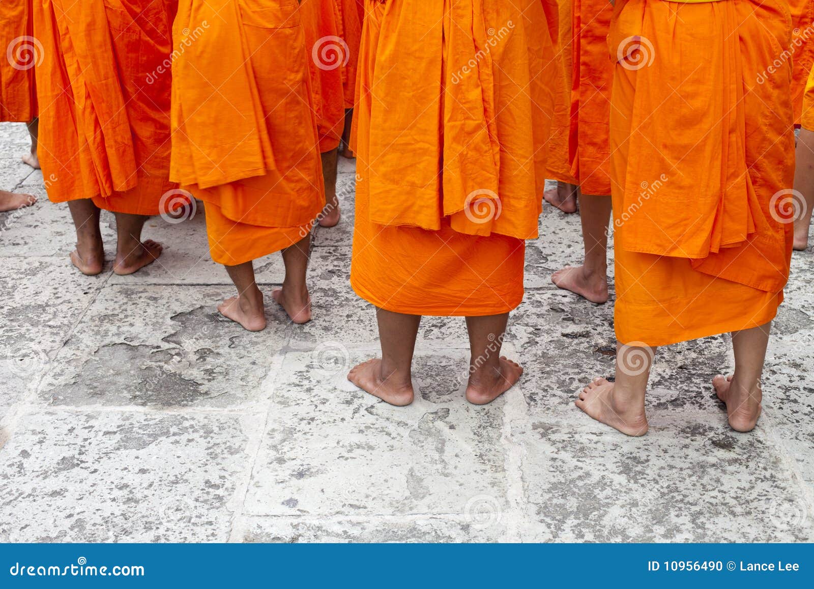 rows of young thai buddhist novice monks standing