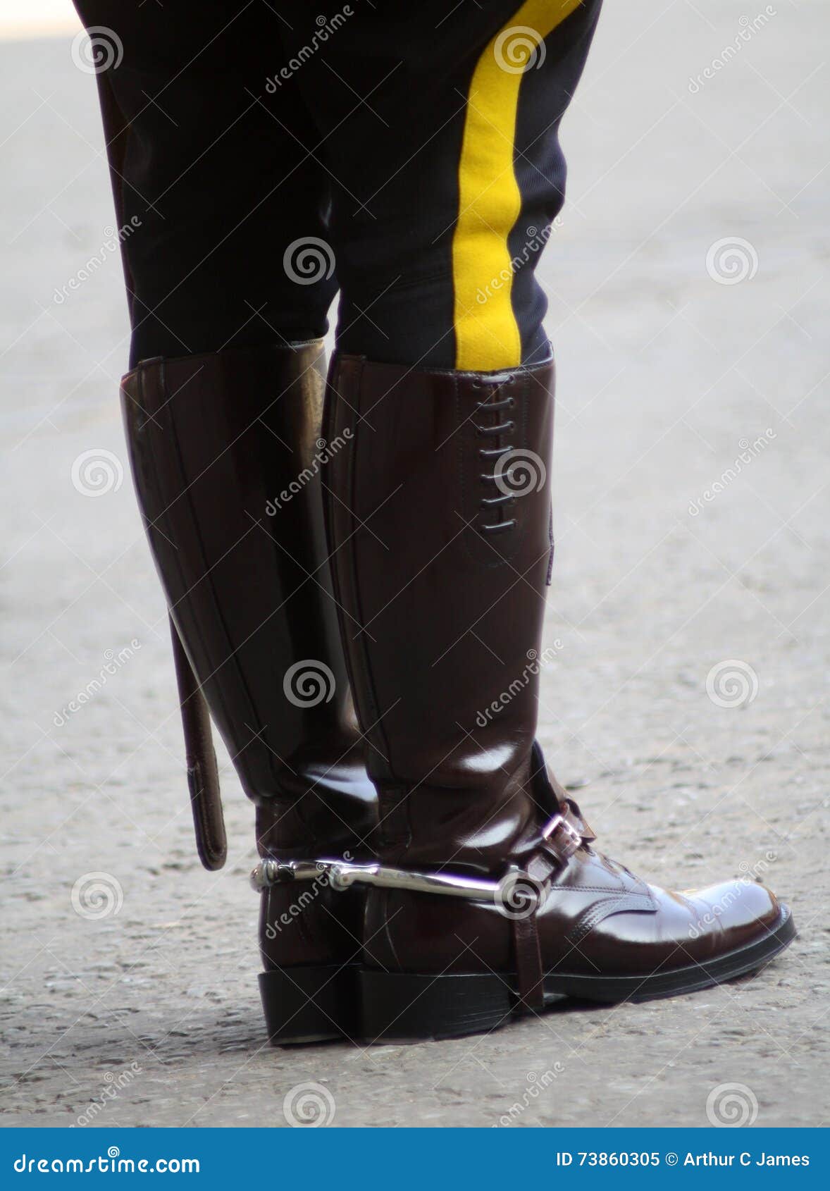 Royal Canadian Mounties stock image. Image of rcmp, royal - 73860305