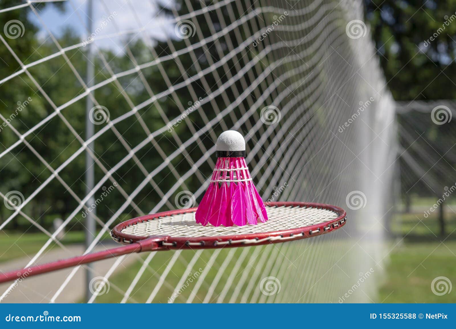 Roze Shuttle Op En Netto Badminton Stock Foto - Image of gelijke,