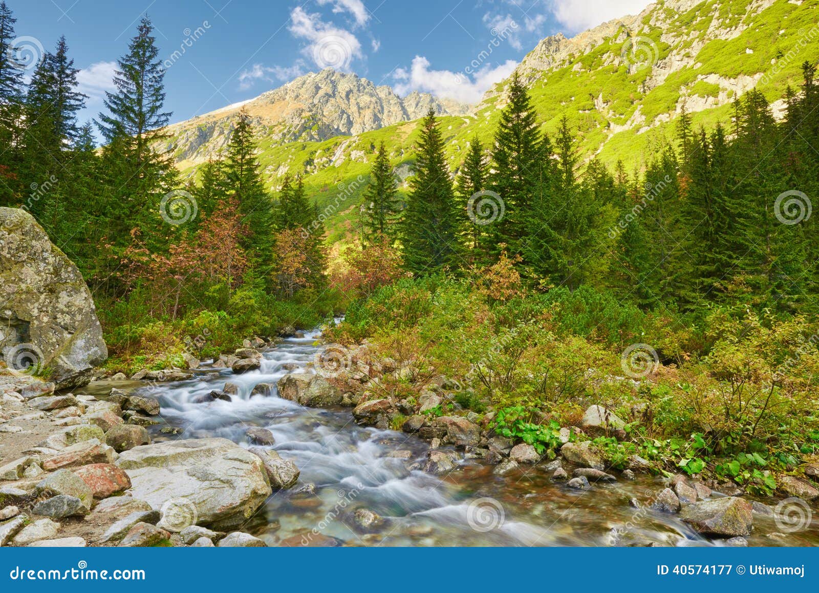 roztoka stream. high tatras, carpathian mountains.
