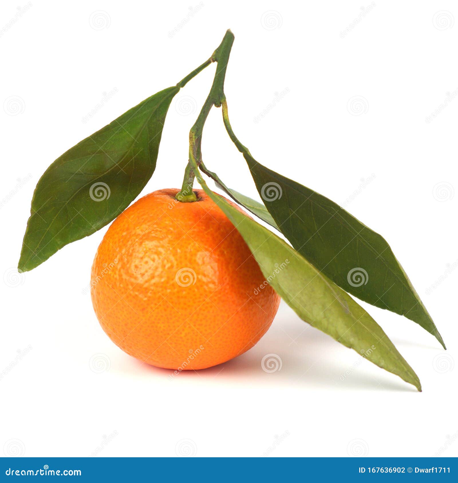 Ripe juicy orange mandarin with leaves Isolated on a white background