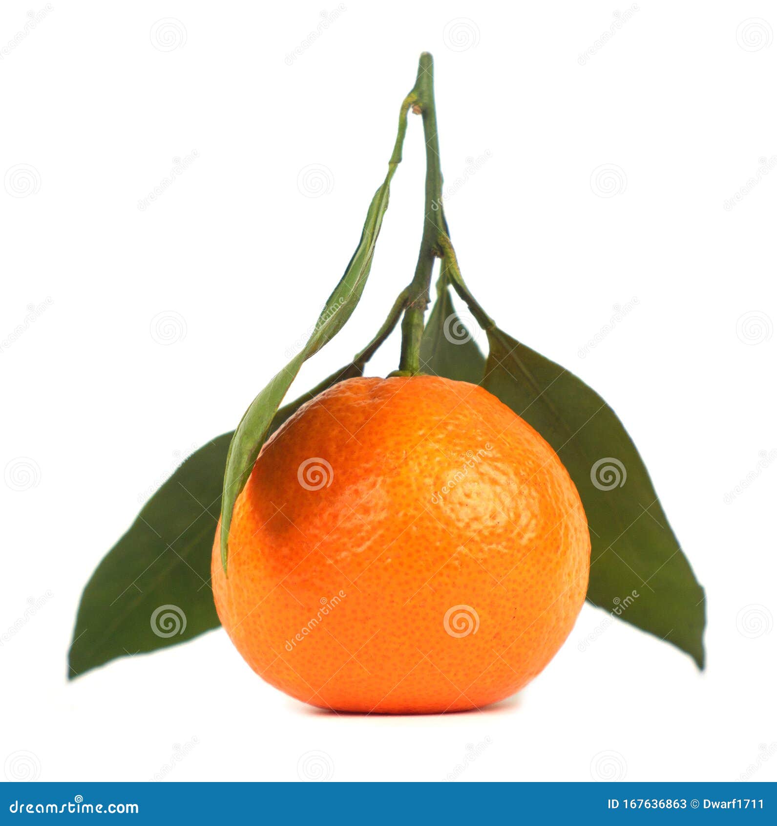 Ripe juicy orange tangerine with leaves Isolated on a white background