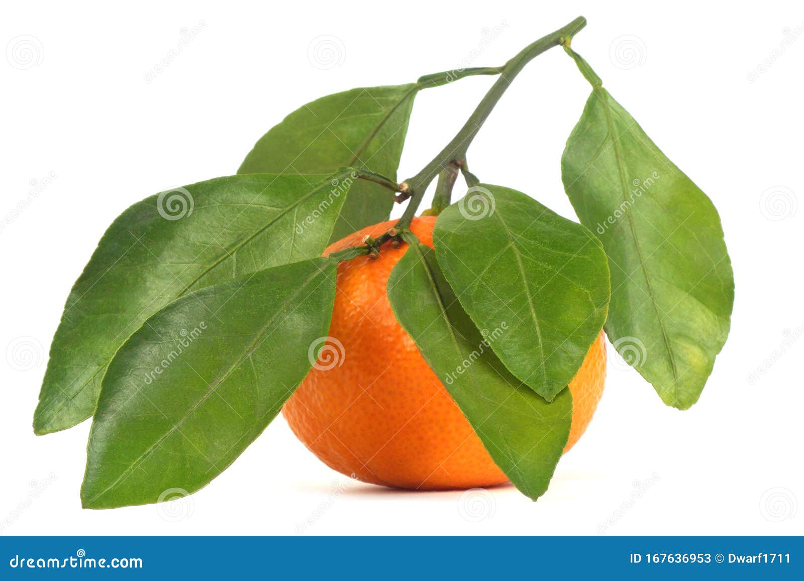 Ripe juicy orange tangerine with leaves Isolated on a white background