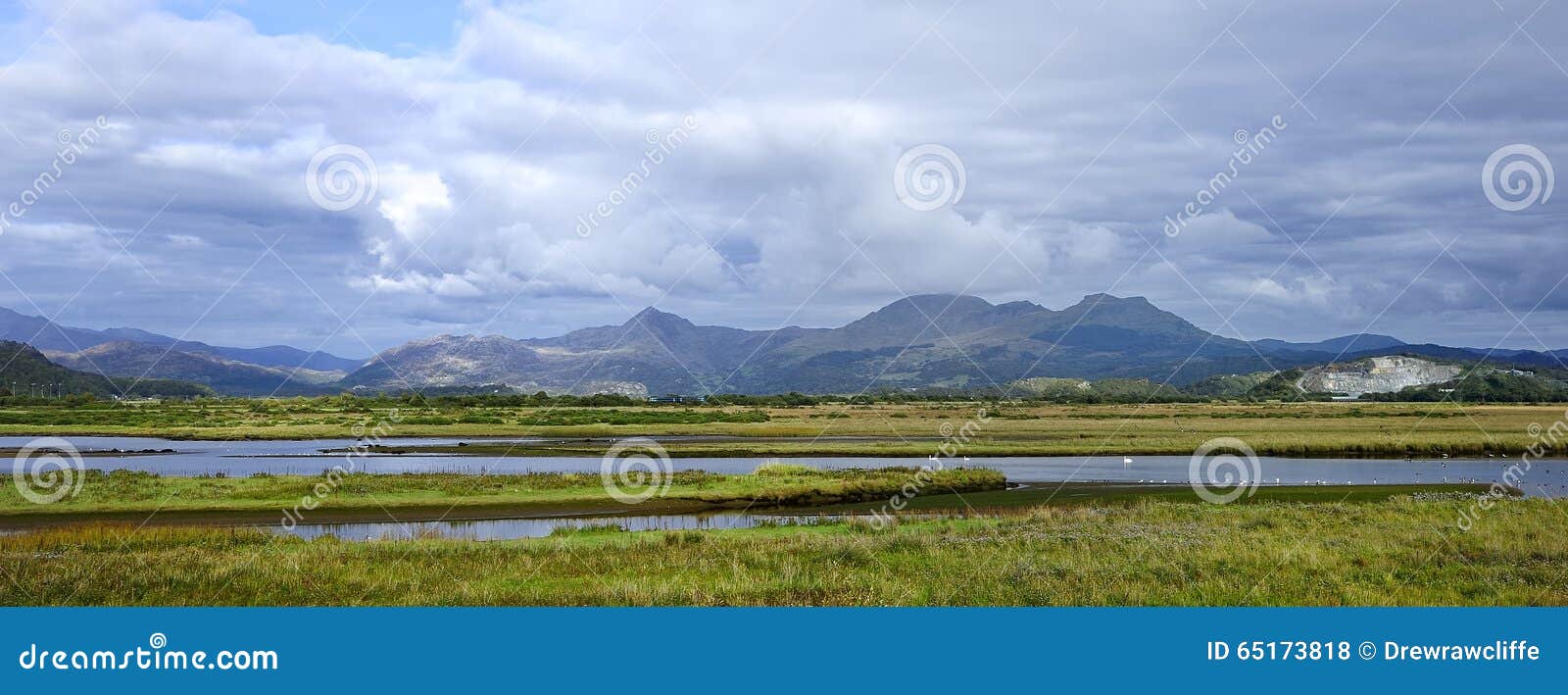 Rriver Estuary of Porthmadog Stock Photo Image of wildlife