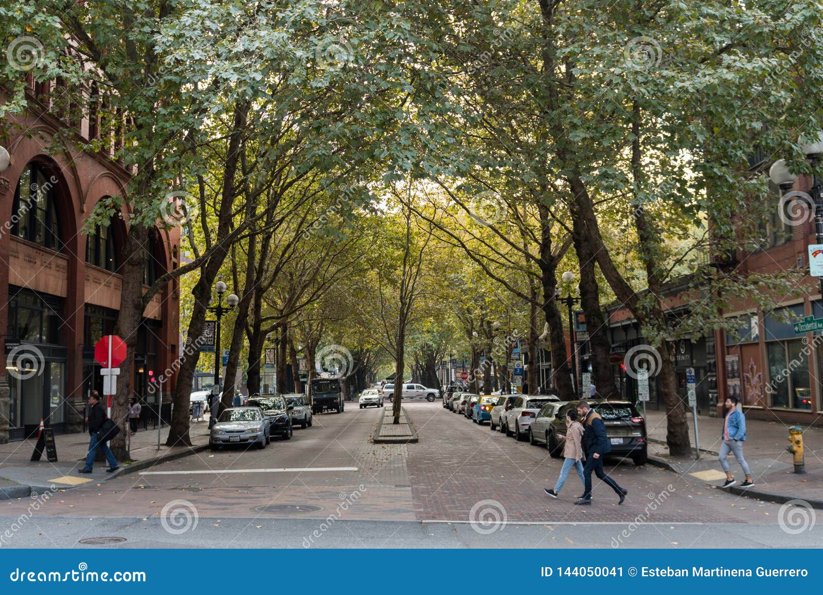 Rua Arborizada Em Seattle Do Centro, Washington, EUA Foto Editorial -  Imagem de noroeste, seattle: 144050041, image size:1600x1157