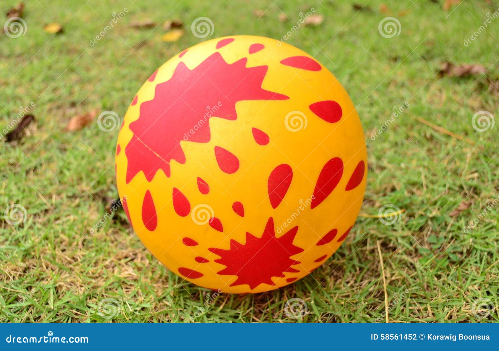 The rubber ball stock photo. Image of ball, object, rubberball 58561452