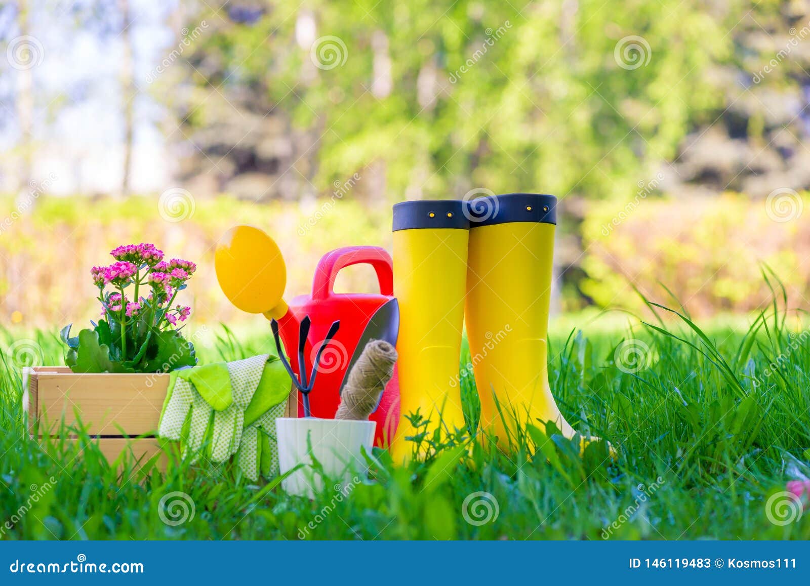 Rubber Boots Next To the Tools for Working in the Garden are on a Green