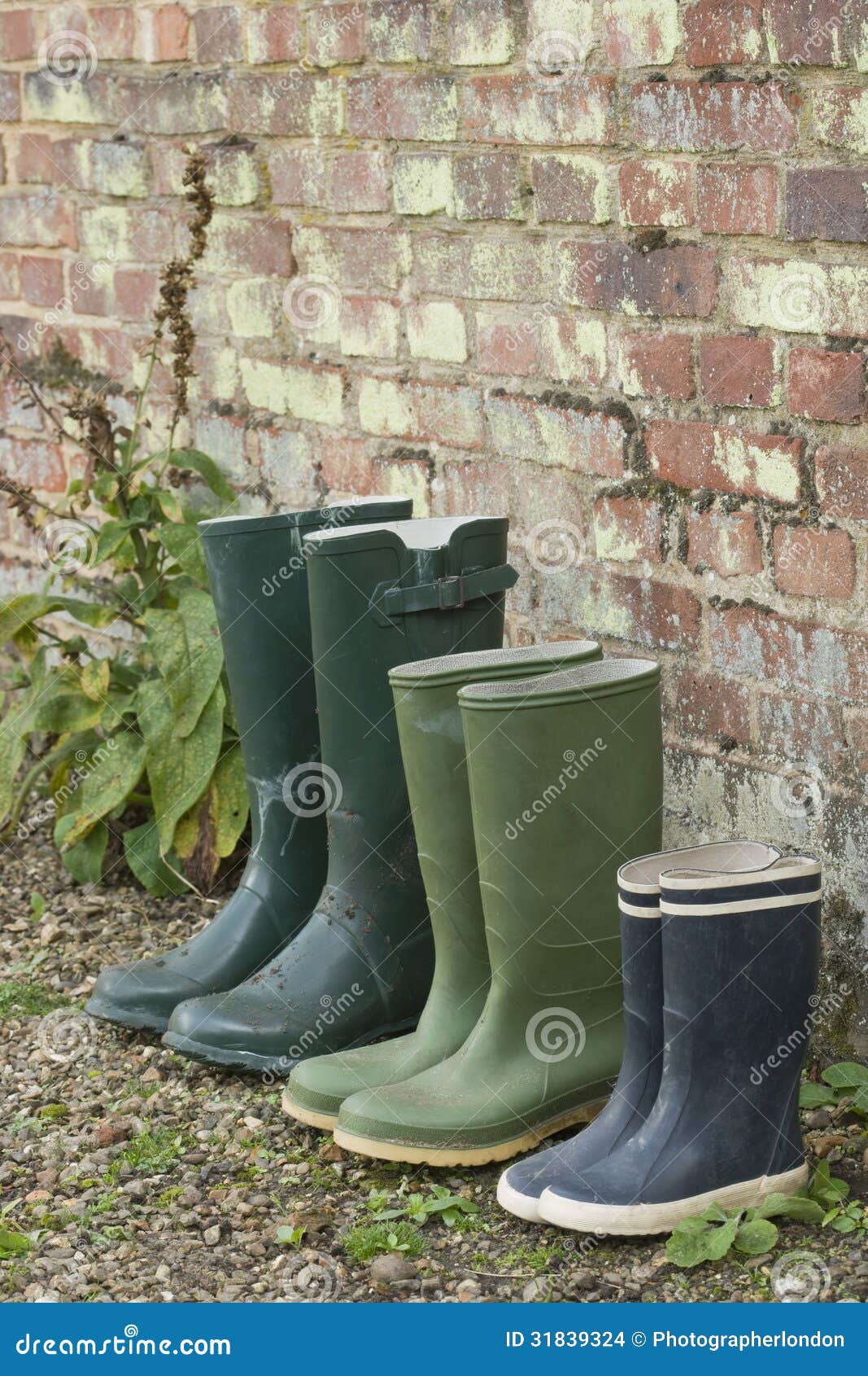 Rubber Boots in Row stock photo. Image of protective - 31839324