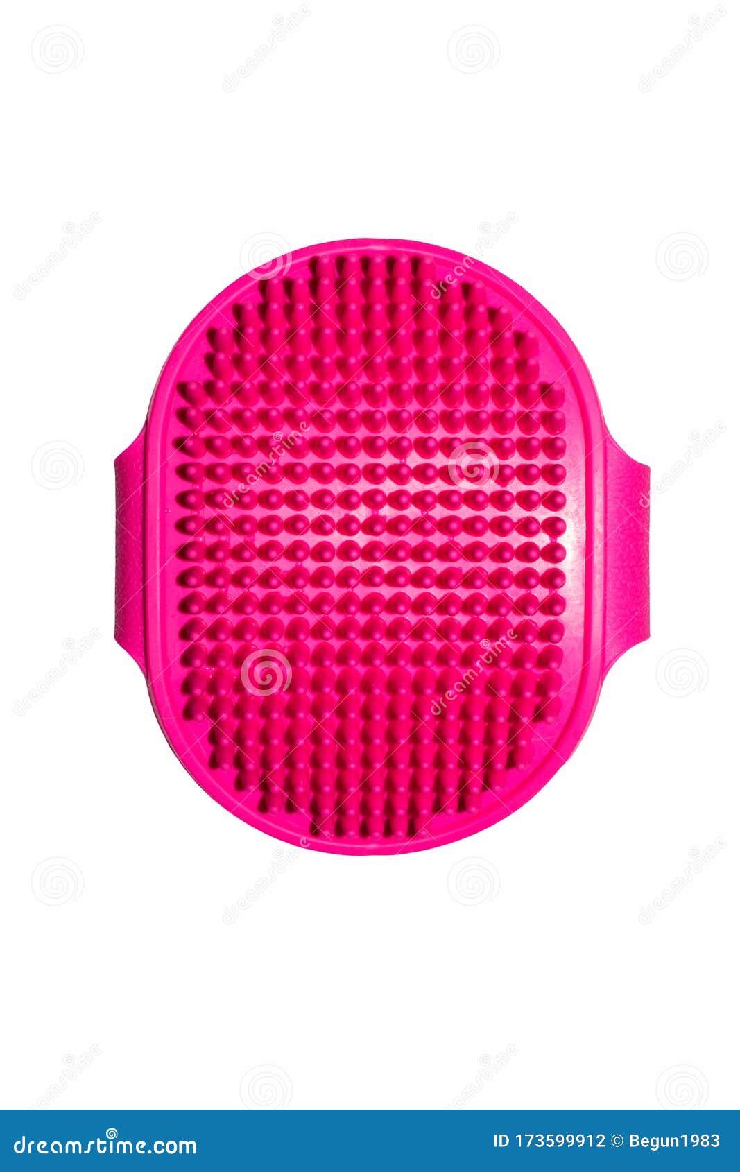 Rubber Brush for Animals.Brush for Combing Wool Stock Photo Image of