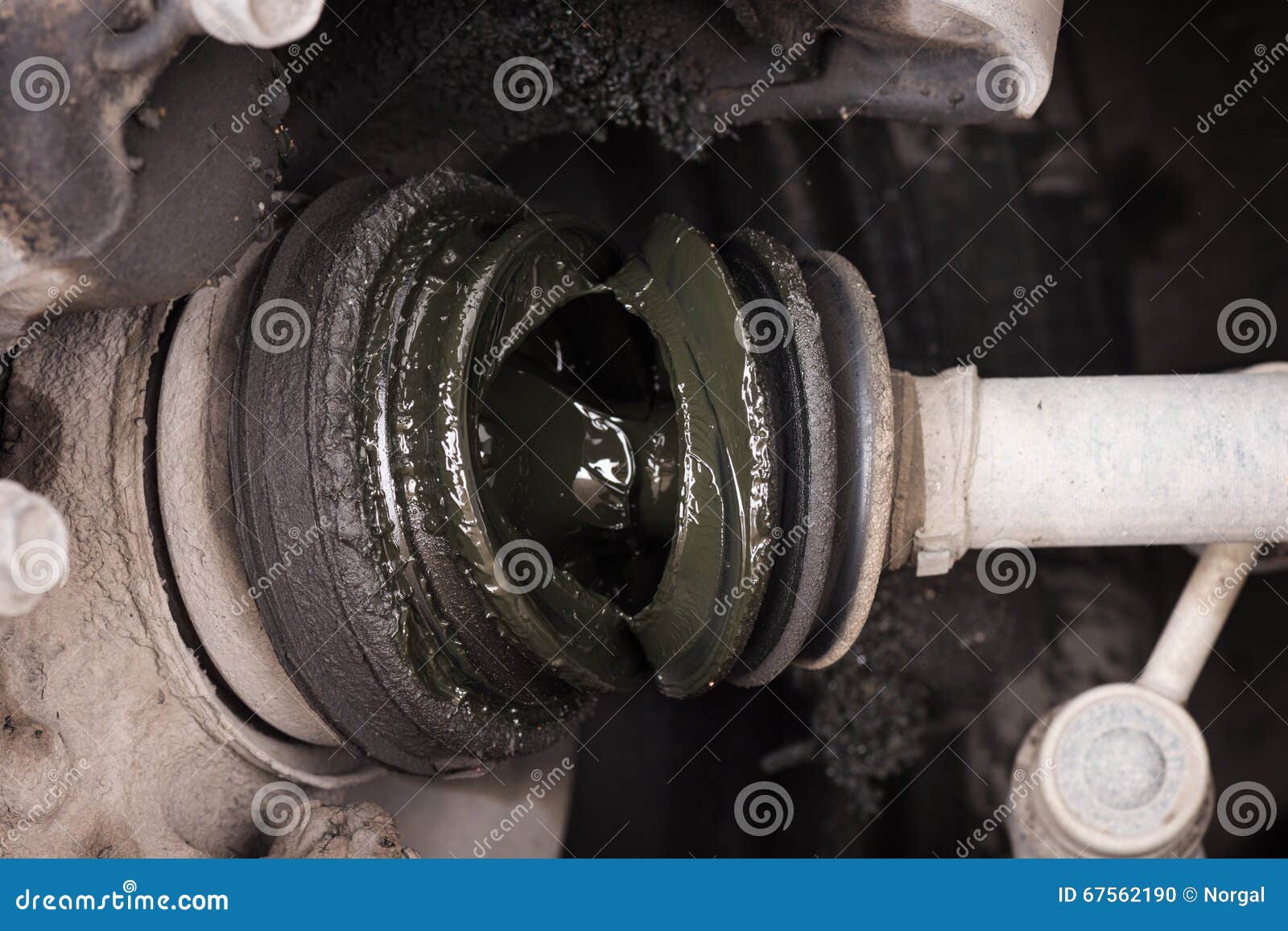 Rubber cover stock photo. Image of auto, protection, front 67562190