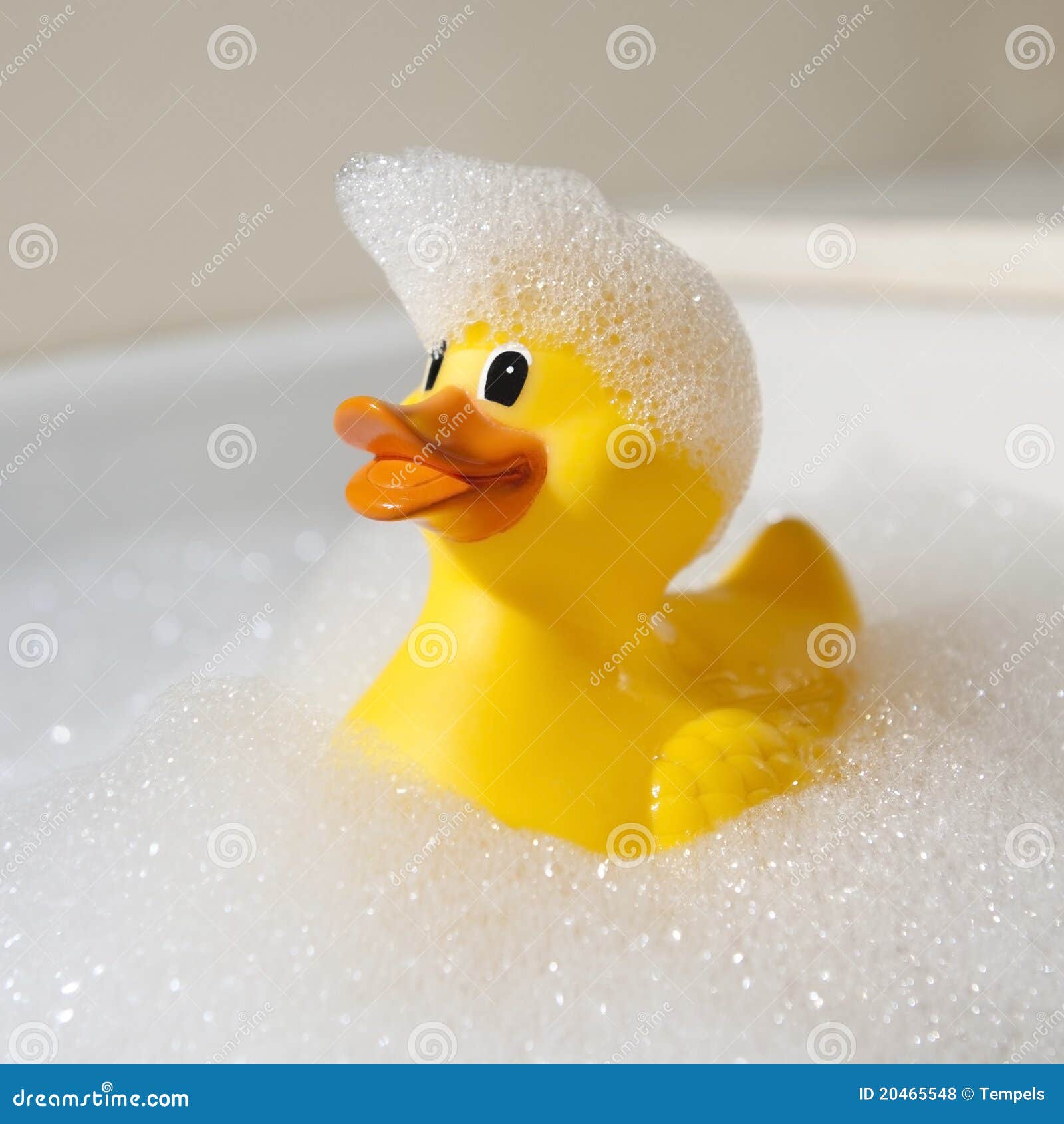 Rubber duck stock photo. Image of swimming, bath, closeup 20465548