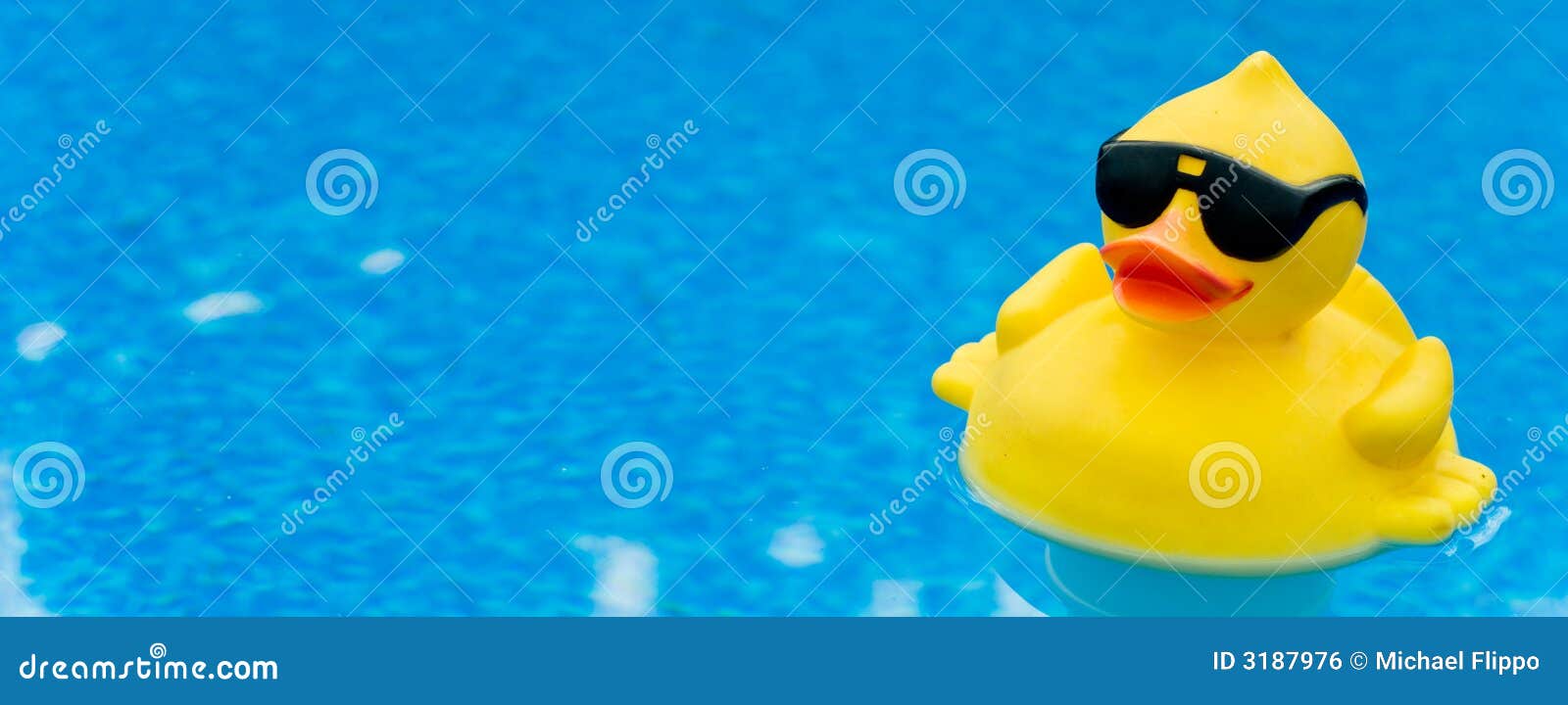 rubber duck on blue