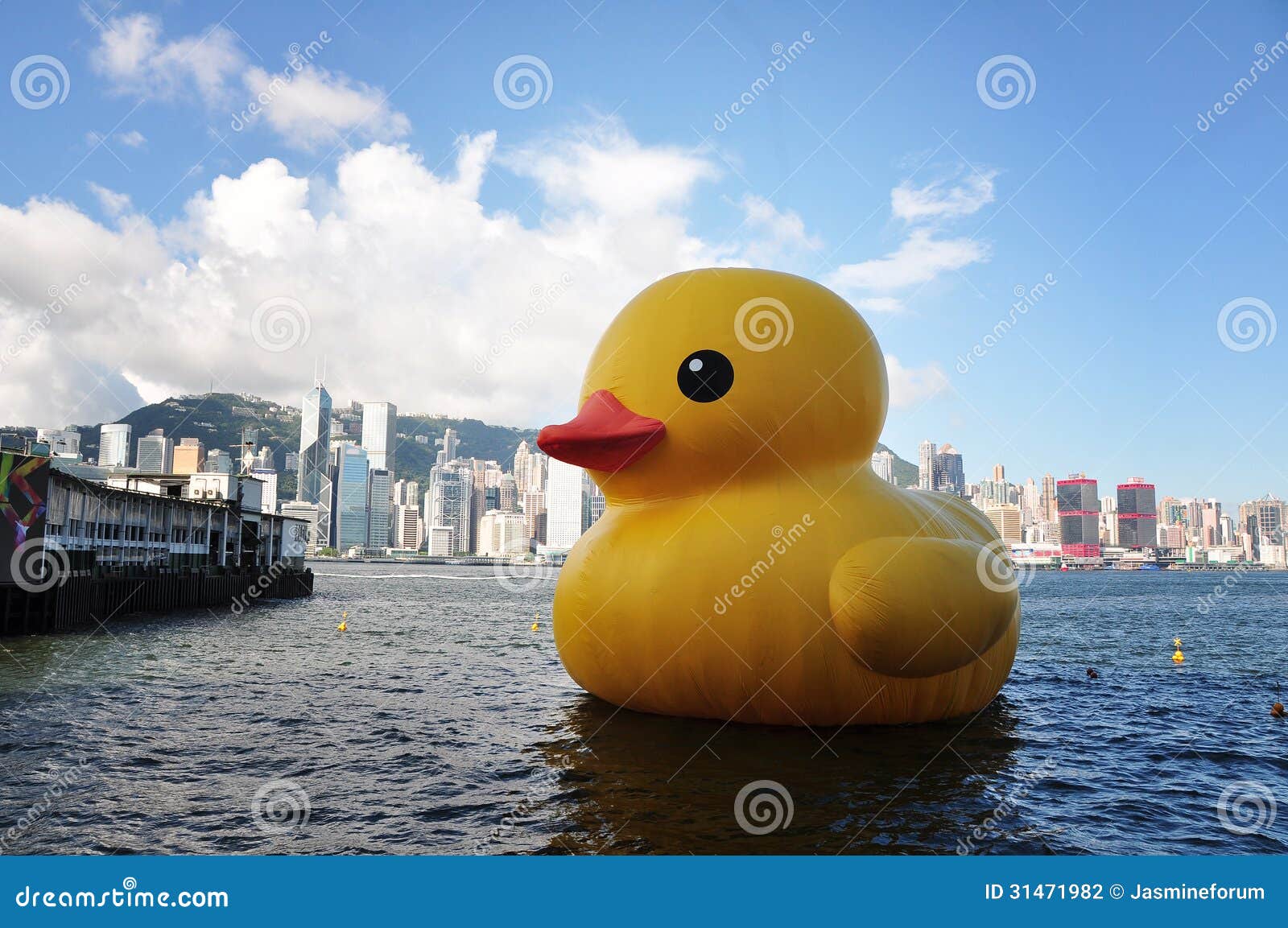 rubber duck