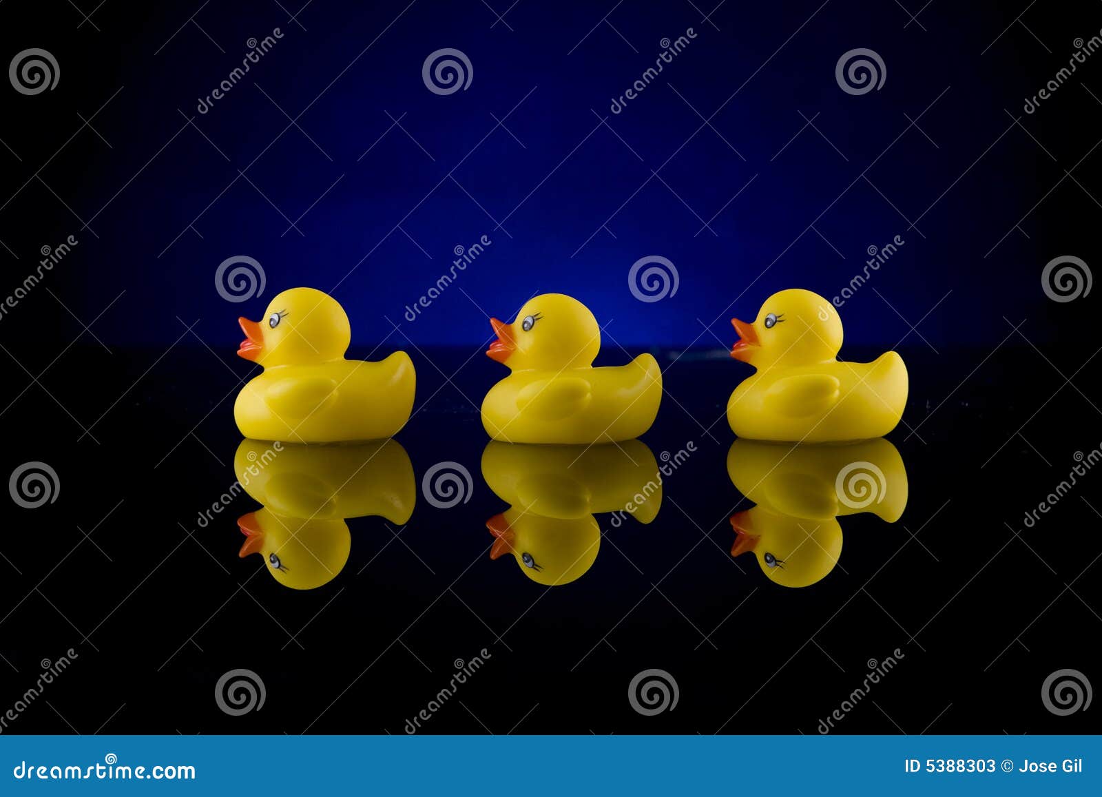 rubber duck row with reflection 2