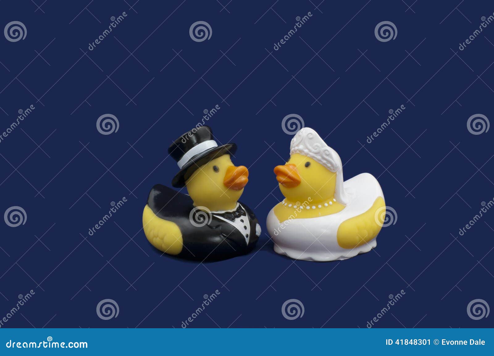 Rubber Ducks Bride And Groom Stock Image Image Of Blue Cute