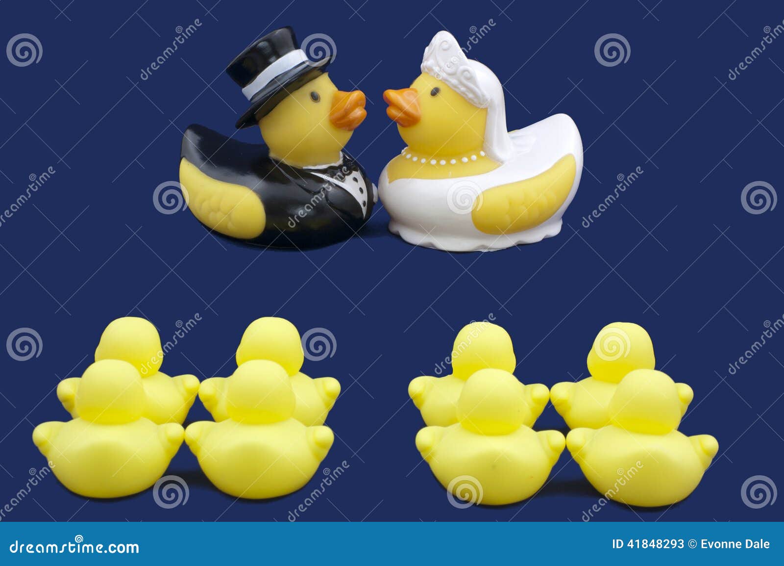 Rubber Ducks Bride And Groom Wedding Ceremony Stock Image Image