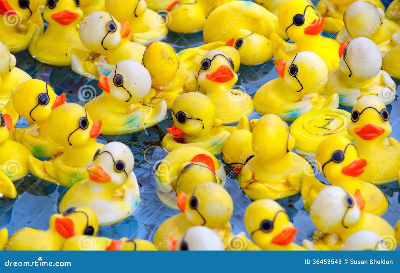 Carnival Fair Rubber Ducks Stock Photos - Free & Royalty-Free Stock Photos  from Dreamstime