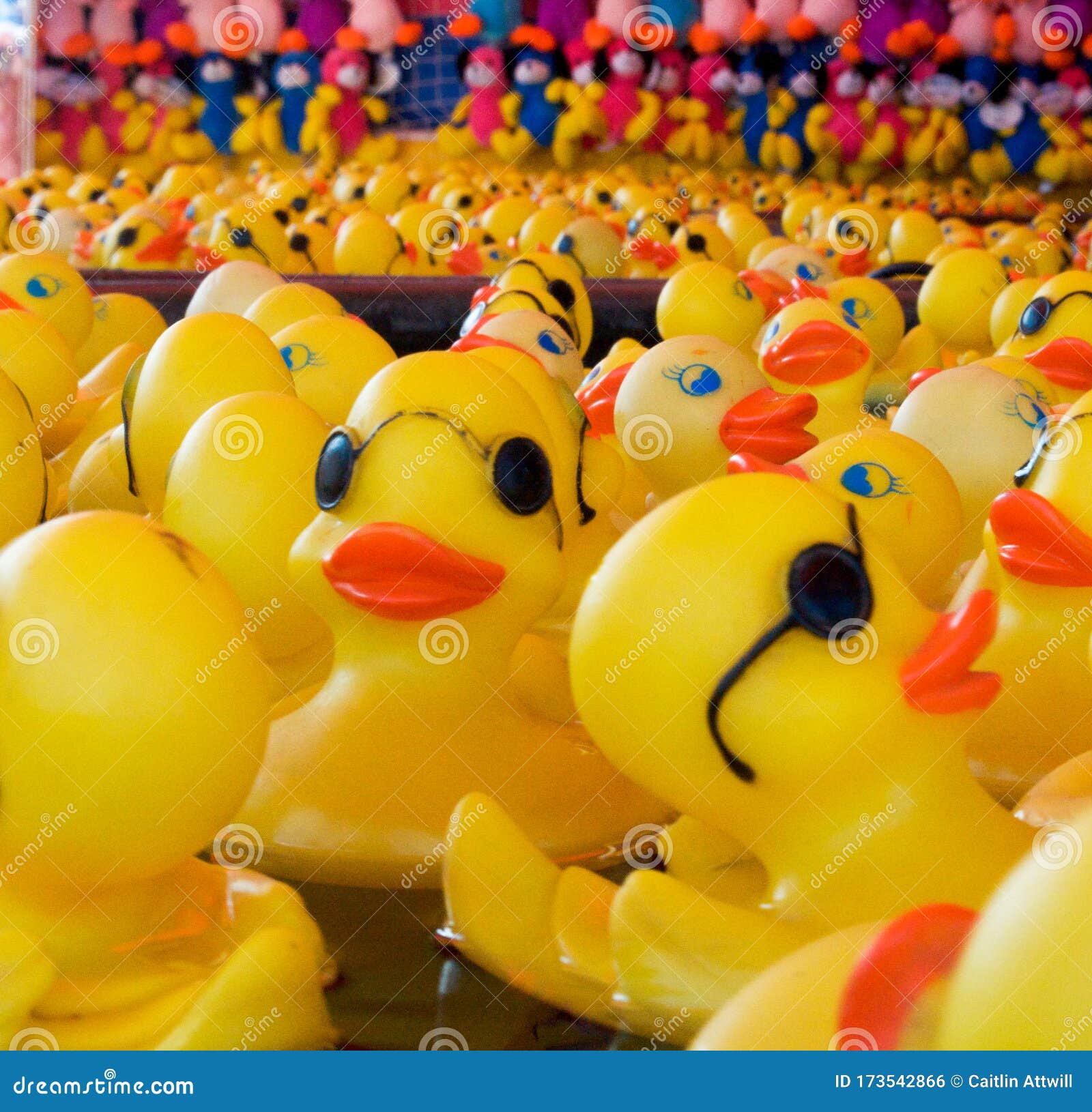 511 Carnival Duck Stock Photos - Free & Royalty-Free Stock Photos from  Dreamstime