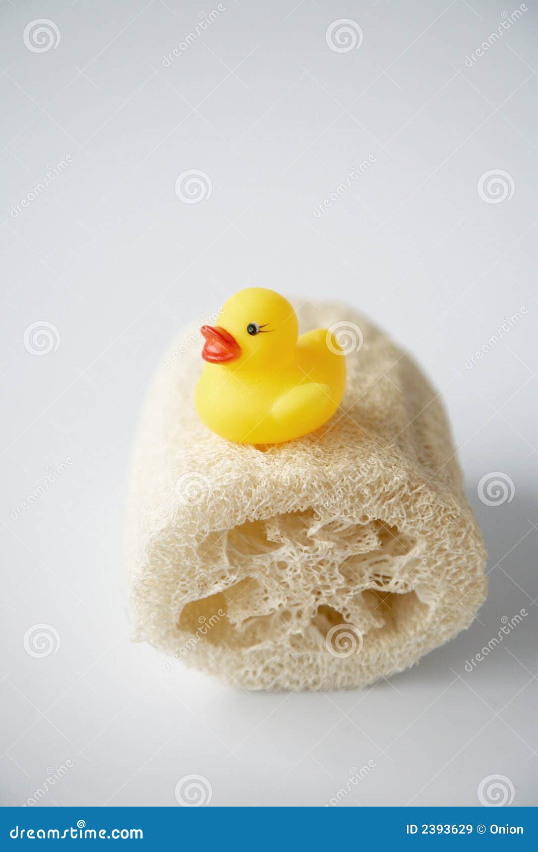 Rubber ducky on loofah stock image. Image of shape, loofah 2393629