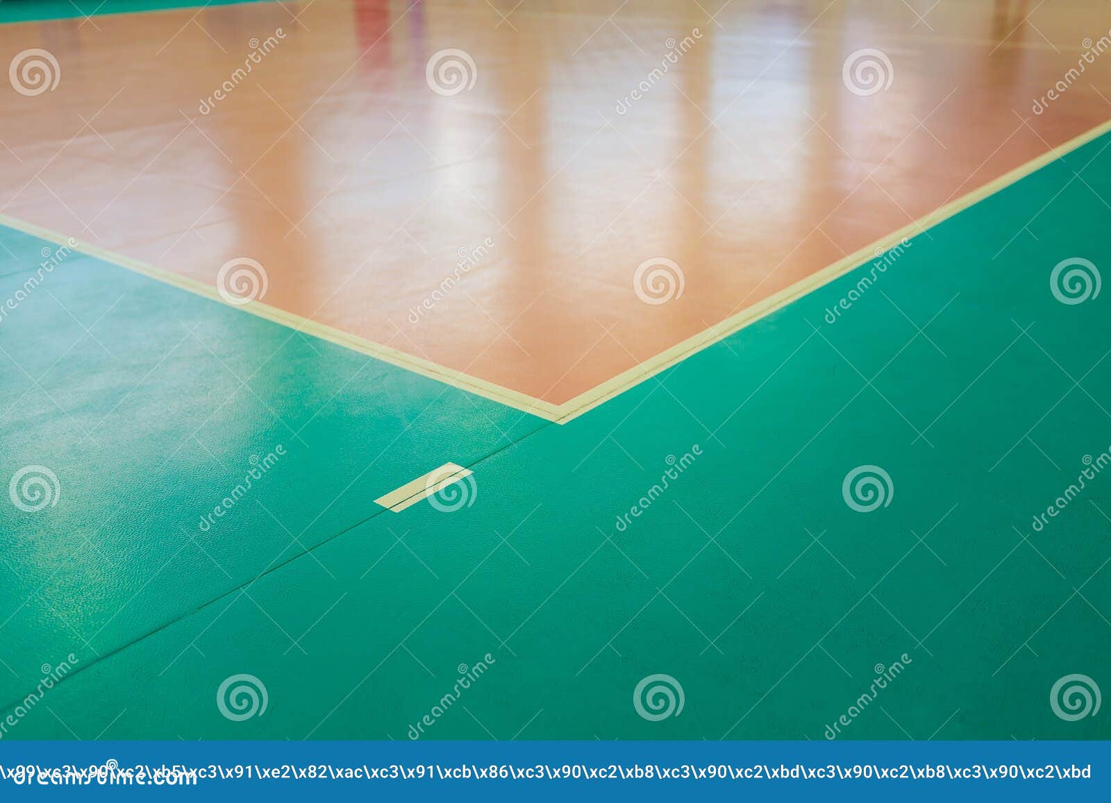 Rubber Flooring in the Gym Empty Professional Volleyball Court Stock Rubber Flooring in the Gym Empty Professional Volleyball Court Stock