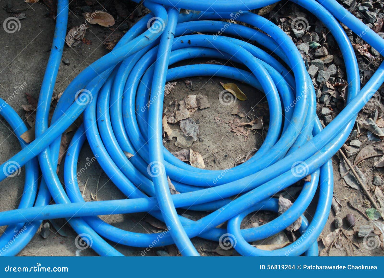 Rubber hose stock photo. Image of agriculture, outdoor 56819264